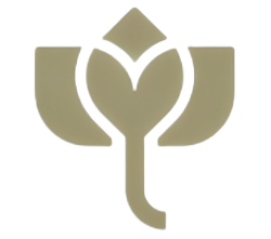 VG Logo